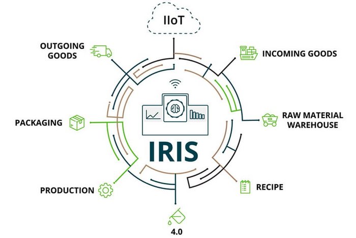 IRIS Weighing Control