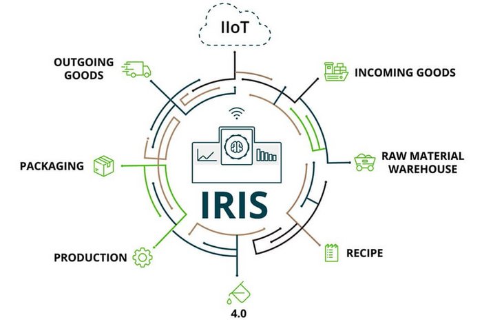 IRIS Weighing Control