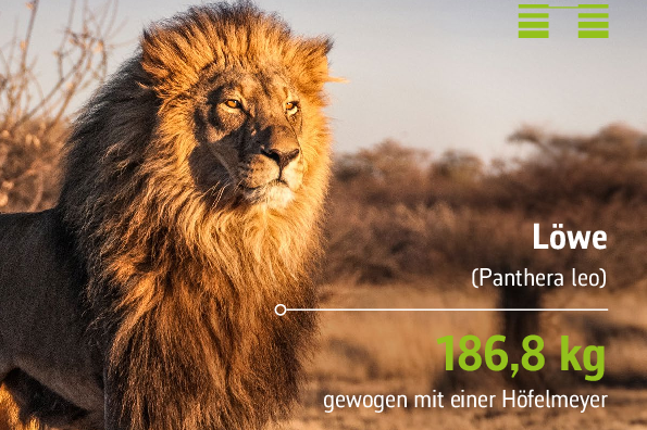 Höfelmeyer Produktwelt